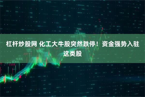 杠杆炒股网 化工大牛股突然跌停！资金强势入驻这类股